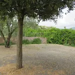 Il Rosmarino *
