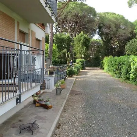 Il Rosmarino *