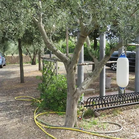 Σπίτι διακοπών Il Rosmarino Castiglione della Pescaia