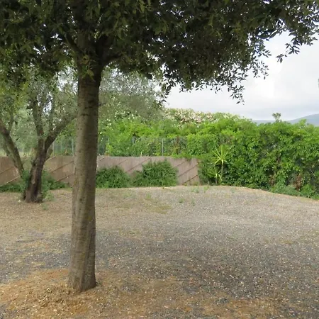 Il Rosmarino *